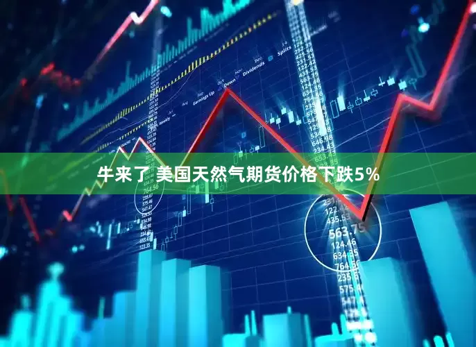 牛来了 美国天然气期货价格下跌5%