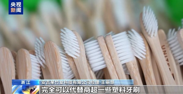 垒富配资 从牙刷到交通护栏，“以竹代塑”让竹子可以“百变”