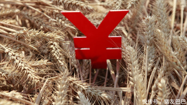 锦富优配 上涨！小麦价格持续“升温”，“猛烈”上涨或将还在后头？